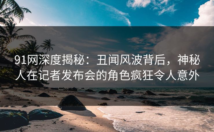 91网深度揭秘:丑闻风波背后,神秘人在记者发布会的角色疯狂令人意外 91网深度揭秘:丑闻风波背后,神秘人在记者发布会的角色疯狂令人意外