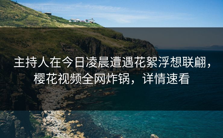 主持人在今日凌晨遭遇花絮浮想联翩，樱花视频全网炸锅，详情速看