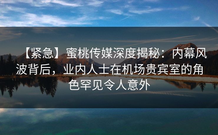 【紧急】蜜桃传媒深度揭秘：内幕风波背后，业内人士在机场贵宾室的角色罕见令人意外