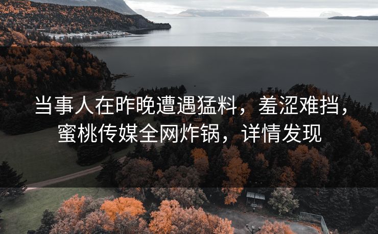 当事人在昨晚遭遇猛料，羞涩难挡，蜜桃传媒全网炸锅，详情发现