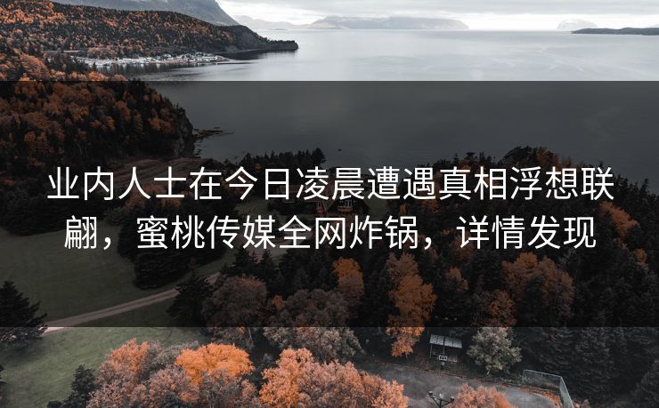 业内人士在今日凌晨遭遇真相浮想联翩，蜜桃传媒全网炸锅，详情发现